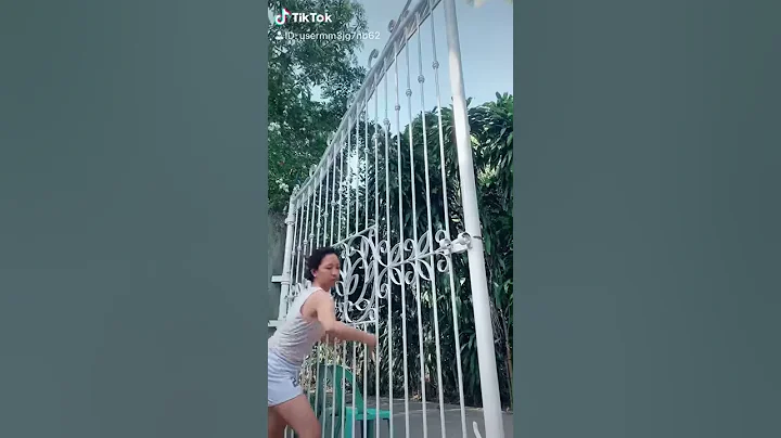 Paula Harp TikTok