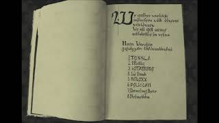 Neon Warrior - Dancing Bear Sr016