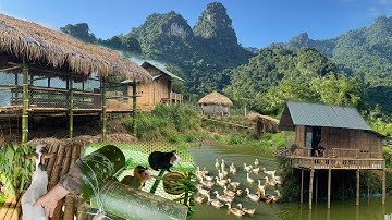 TIMELAPSE-FULL VIDEO 120 days Build a farm life: Bamboo house - chicken coop, goat, guinea pig