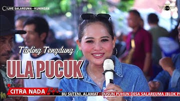 ULA PUCUK ~ NUNG UL QISMA // CITRA NADA LIVE DESA SALAREUMA (BLOK PUHUN) // CIPICUNG - KUNINGAN