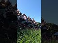 Mako! #fypシ #themepark #scary #seaworld #fun #viral #coaster #trending #subscribe #summer #fyp