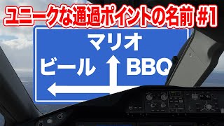 【航空ネタ】変わったウェイポイントの名前#1