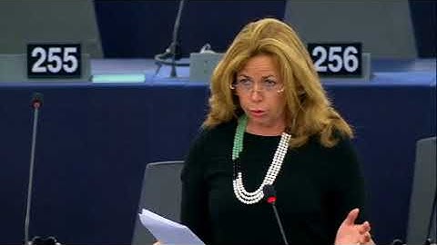 Cecilia Wikström 03 Jul 2018 plenary speech on the Austrian Presidency