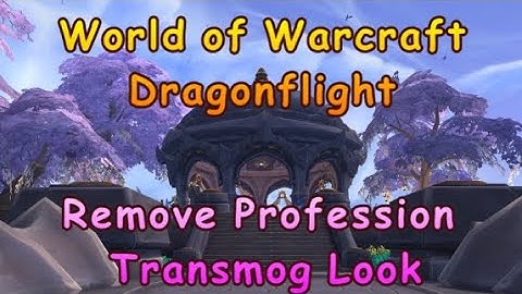 World of Warcraft - How To Hide Profession Equipment Look (NPC Location)