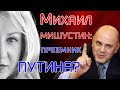 Михаил Мишустин - будущий президент РФ?