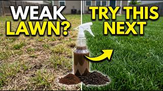The Forgotten Lawn Recovery Method That Fixes Weak Grass FastОн: