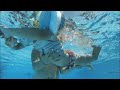 Water Safety Facts with Councilwoman Kim Knaus