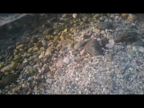 KANALIMIZ ELMAS,YAKUT,SAFİR,ZÜMRÜT DAĞITACAK