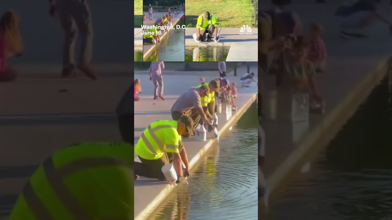 Reflecting Pool turned green by algae