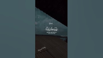 تلاوة عبدالرحمن مسعد-والله يدعو الي دار السلام  #عبدالرحمن_مسعد #قرآن #قرآن_كريم