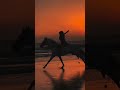 هاني شاكر كفايه