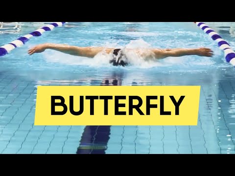 BUTTERFLY SWIMMING: HOW TO SWIM SMOOTHLY (STEP-BY-STEP GUIDE)