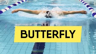 BUTTERFLY SWIMMING: HOW TO SWIM SMOOTHLY (STEP-BY-STEP GUIDE) screenshot 3