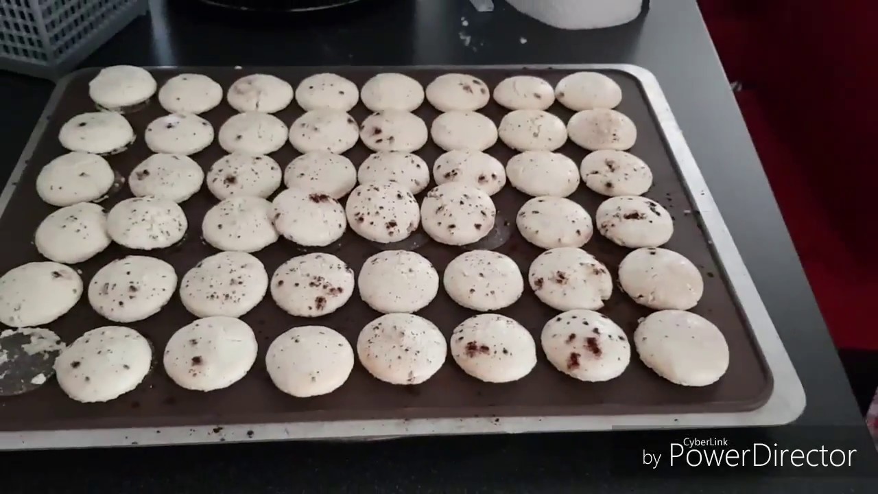 Macaron à la meringue suisse avec companion test avec kit macaron silicone testaverde