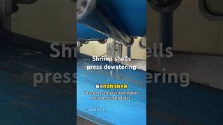 Shrimp shells press dewatering #shrimpshells #dewateringsolution #dewatering #pressmachine