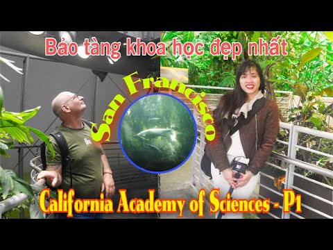 Video: Tham quan Bảo tàng Cáp treo của San Francisco