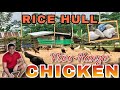 PAANO MAIIWASAN ANG LANGAW AT DUMI?| VERY EFFECTIVE| FREE RANGE CHICKEN| IPA/RICE HULL APPLICATION