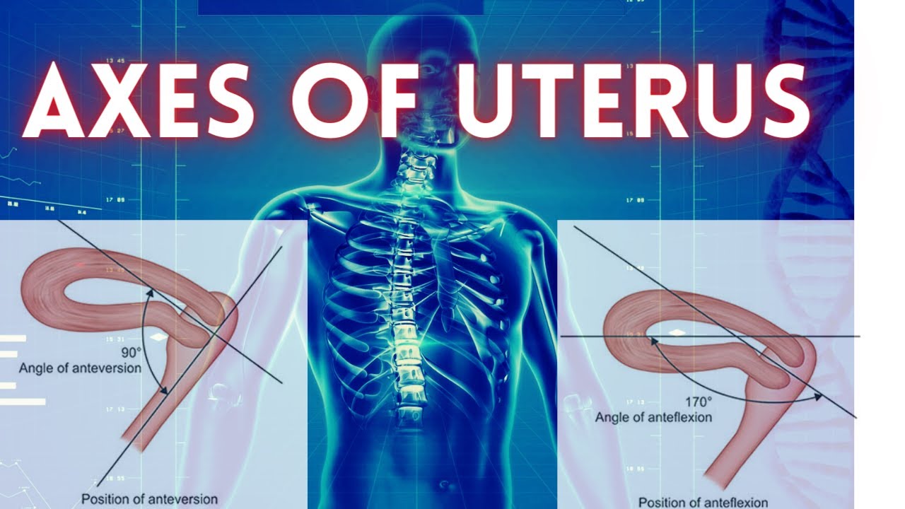 Axes of Uterus YouTube