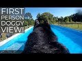 Saxa The German Shepherd - Dock Diving - First Person View!