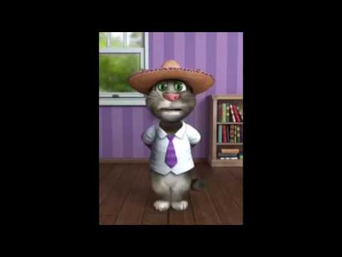talking-tom-funny-videos-download-talking-tom-funny-videos-in-hindi-talking-tom-cat-funny-song