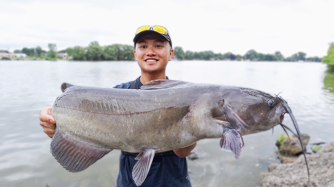 Fishing for Big Catfish On The Fox River- PB Broken! 