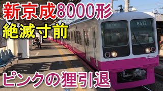 【絶滅寸前】新京成8000形　ピンクの狸　8518編成引退　Railway　Train　shin-keisei