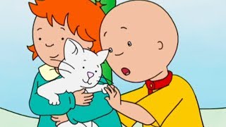 Caillou y el Gatito Perdido | Caillou en Español Castellano