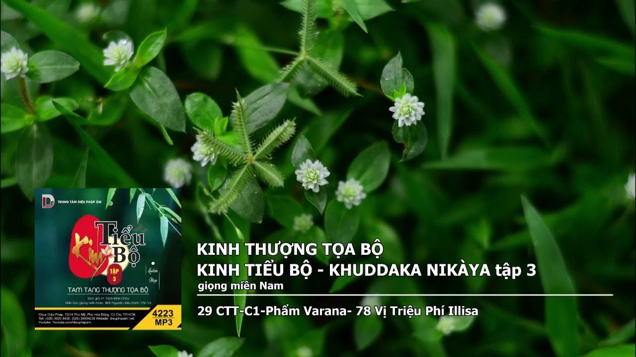 Tập 3 – 29 CTT–C1–Phẩm Varana– 78 Vị Triệu Phí Illisa giọng miền Nam 