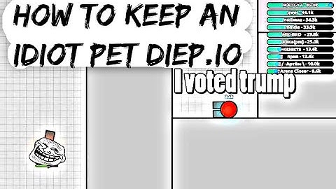 How to keep an idiot pet diep.io | Pet videos in diepio are stupid | Diep.io Pet