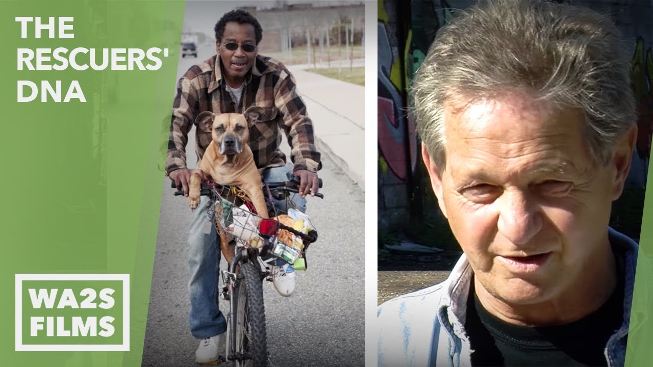 detroit rock city kiss Caught On Camera - Rescue Dogs Protect Photographer at Packard Plant - Hope For Dogs | My DoDo