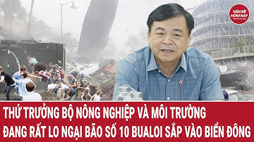 Bão số 10 Bualoi sắp vào biển Đông, Thứ trưởng Bộ Nông nghiệp và Môi trường 