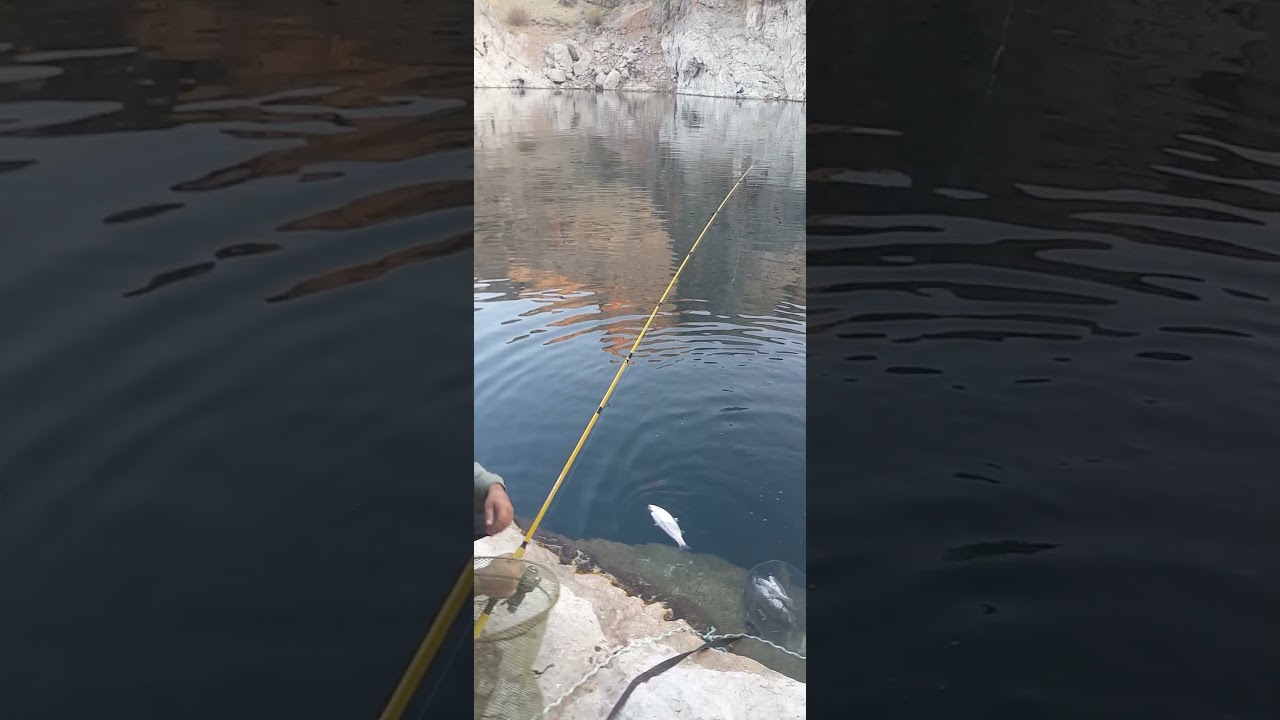 Malatya Sinikli Alabalık Avı