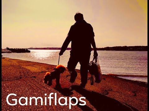 Gamiflaps_愛犬と夕陽とGamiflaps