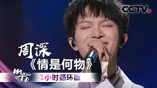 周深《情是何物》（一小时循环版) | 中国音乐电视 Music TV