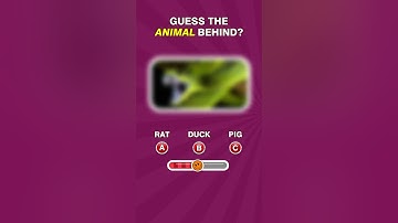 Challange No 243 | Flicktale #riddle #guess #games #puzzles #brainteasers #Challange #whatami