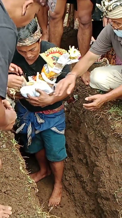 prosesi unik bali sebelum ngaben mayat yang di kubur akan digali dan diangkat untuk dibersihkan#fyp