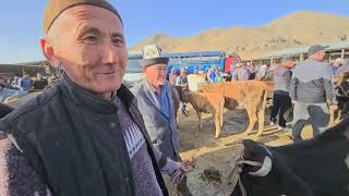 картинка: АЛА БУКА СОЛОМО БАЗАРЫ ЖЫЛКЫ БААЛАРЫ