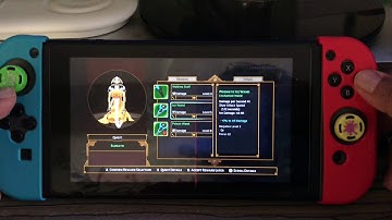 Nintendo Switch Torchlight II with Pet Unicorn Gameplay