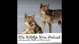 Amendment 83: The History, Hidden Language, and What’s at Stake for Colorado Wildlife