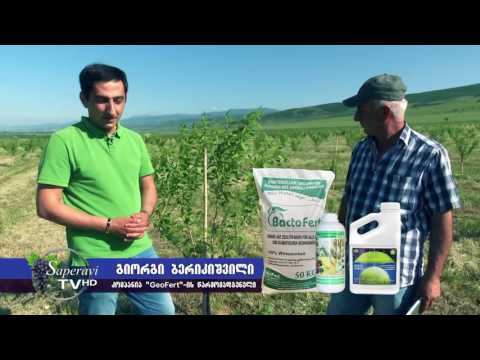 კომპანია \"ჯეოფერტი\"