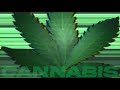 Best high ever cannabis music  chill synthwave  432hz subliminal marijuana meditation music