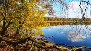 Werder an der Havel 🍃💝🍃