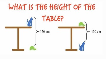 What is the Height of the Table? Cat Table Turtle Puzzle [Algebra]