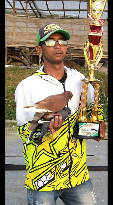 CHAMPION#tiktok #merpati #tiktok #merpati