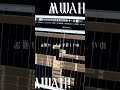 #モニタリング #歌ってみた #cover #歌い手 #歌詞動画