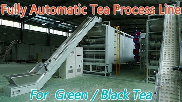 Fully Automatic Herbal Green Tea Processing Line With Gas Heating For Big Leaf Herbal Tea processing
