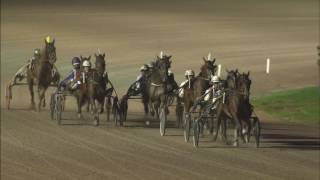 Vidéo de la course PMU CHAMPIONNAT D'HIVER (FINALE GOLDEN)