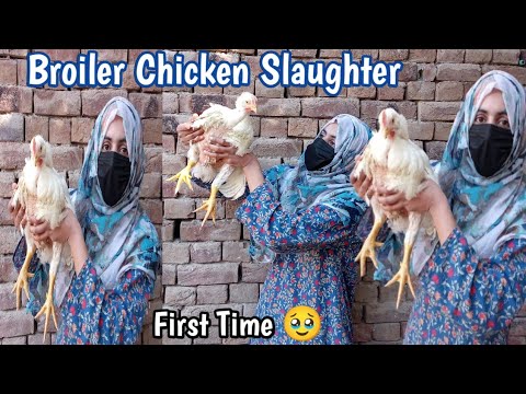 Broiler Chicken Slaughter Video 🐔 | First Experience On Broiler 🥹 | Most Requested Video 💖