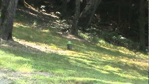 Sure Shot Exploding 1 Pound Target Demo.mpg