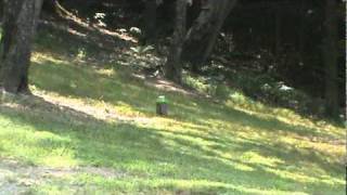 Sure Shot Exploding 1 Pound Target Demo.mpg Wealth